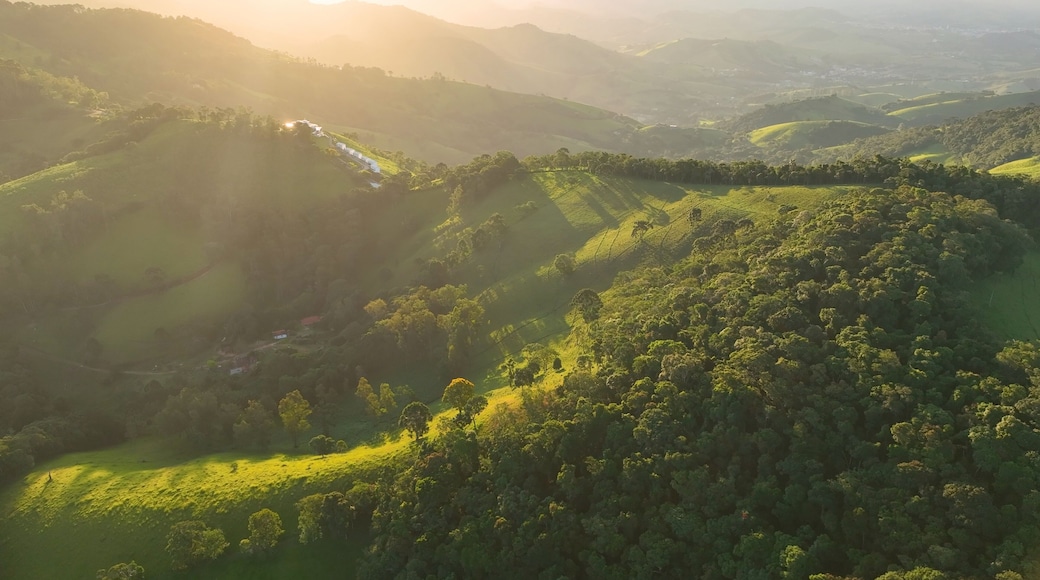 ๋ชฌํ
๋ฒ ๋ฅด๋ฐ