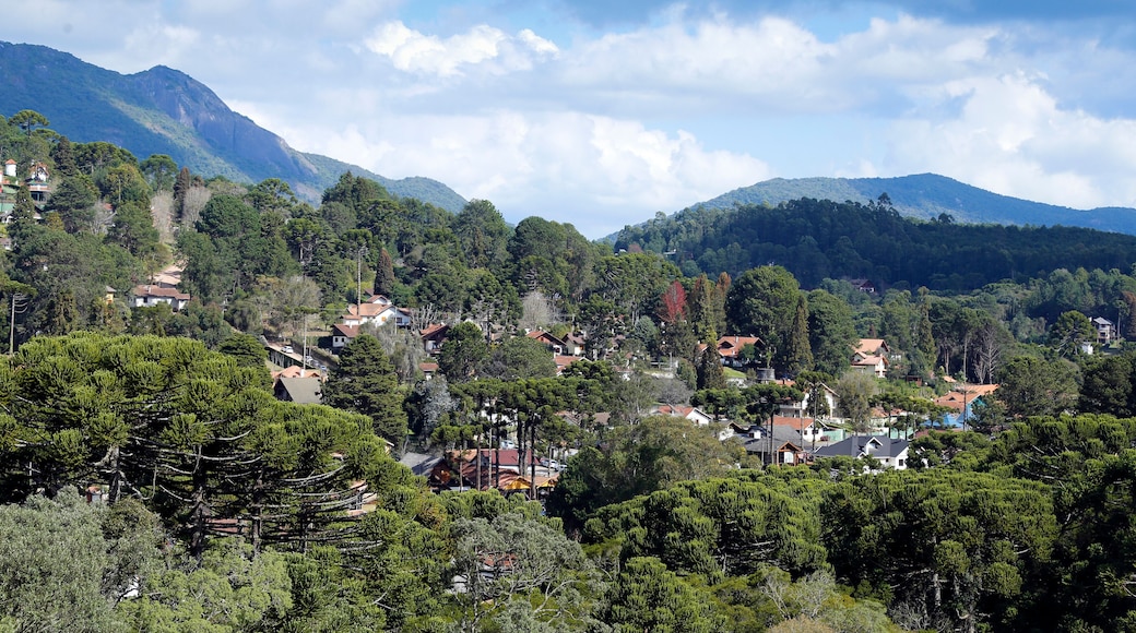 Camanducaia