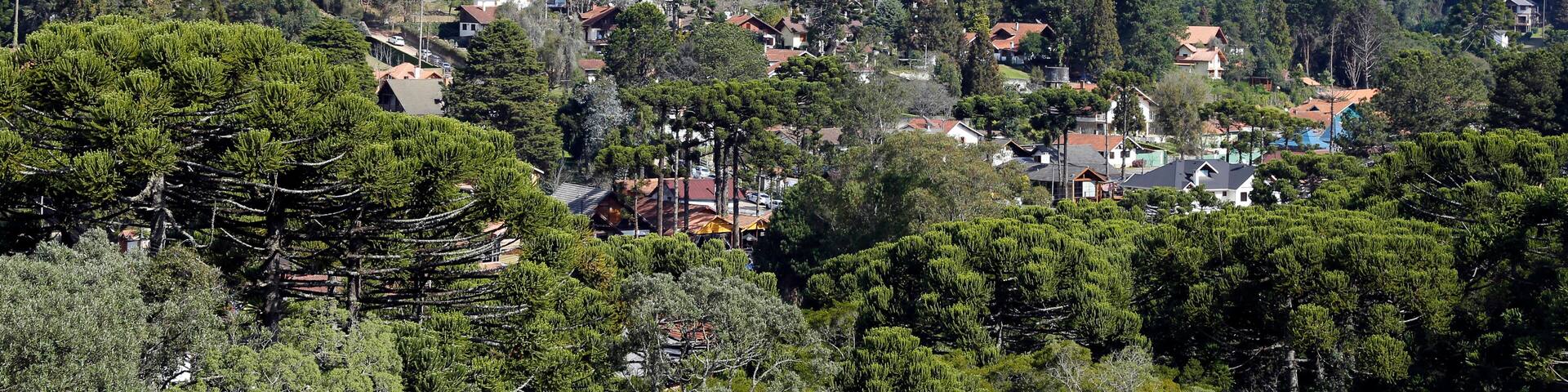 view of nature and buildings among the mountains of Monte Verde, district of Camanducaia, interior of Minas Gerais