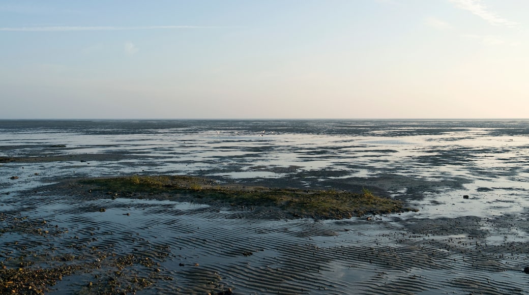 Foehr / Germany: View over the dry fallen Frisian Wadden Sea near Witsum at ebb tide; Shutterstock ID 1051530263; purchase_order: SP-1332 HA Batch 2 August 2018; Order: ; client: HomeAway; other: To b