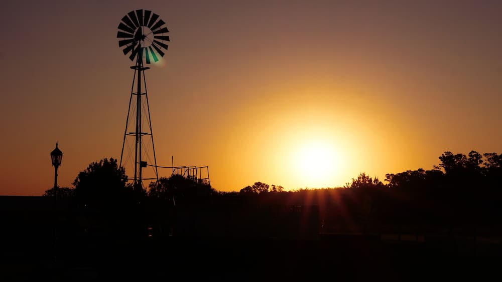 Sunset landscape in countryside. A windmill silhouette in a farm located in Brandsen, BUenos Aires, Argentina. In the background a few small trees and the sun almost hidden. Taken on a warm summer af