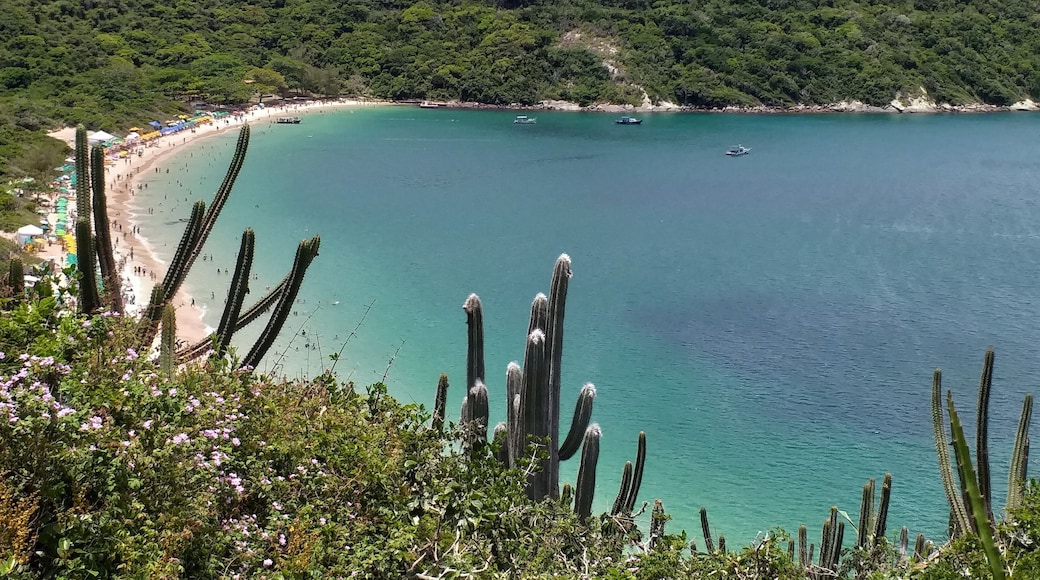 Mirador praia do forno