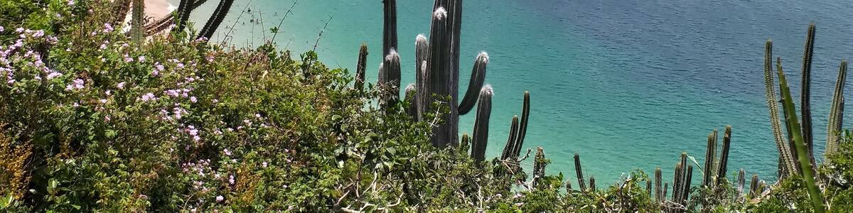 Mirador praia do forno