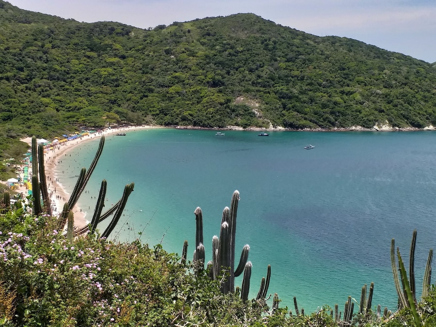 Mirador praia do forno