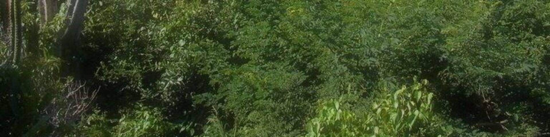 A beautiful beach in Rio de Janeiro state