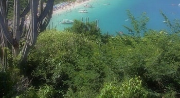 A beautiful beach in Rio de Janeiro state