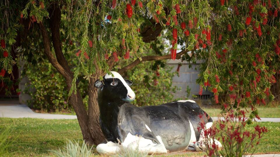 A black and white cow statue under a tree with red flowers.