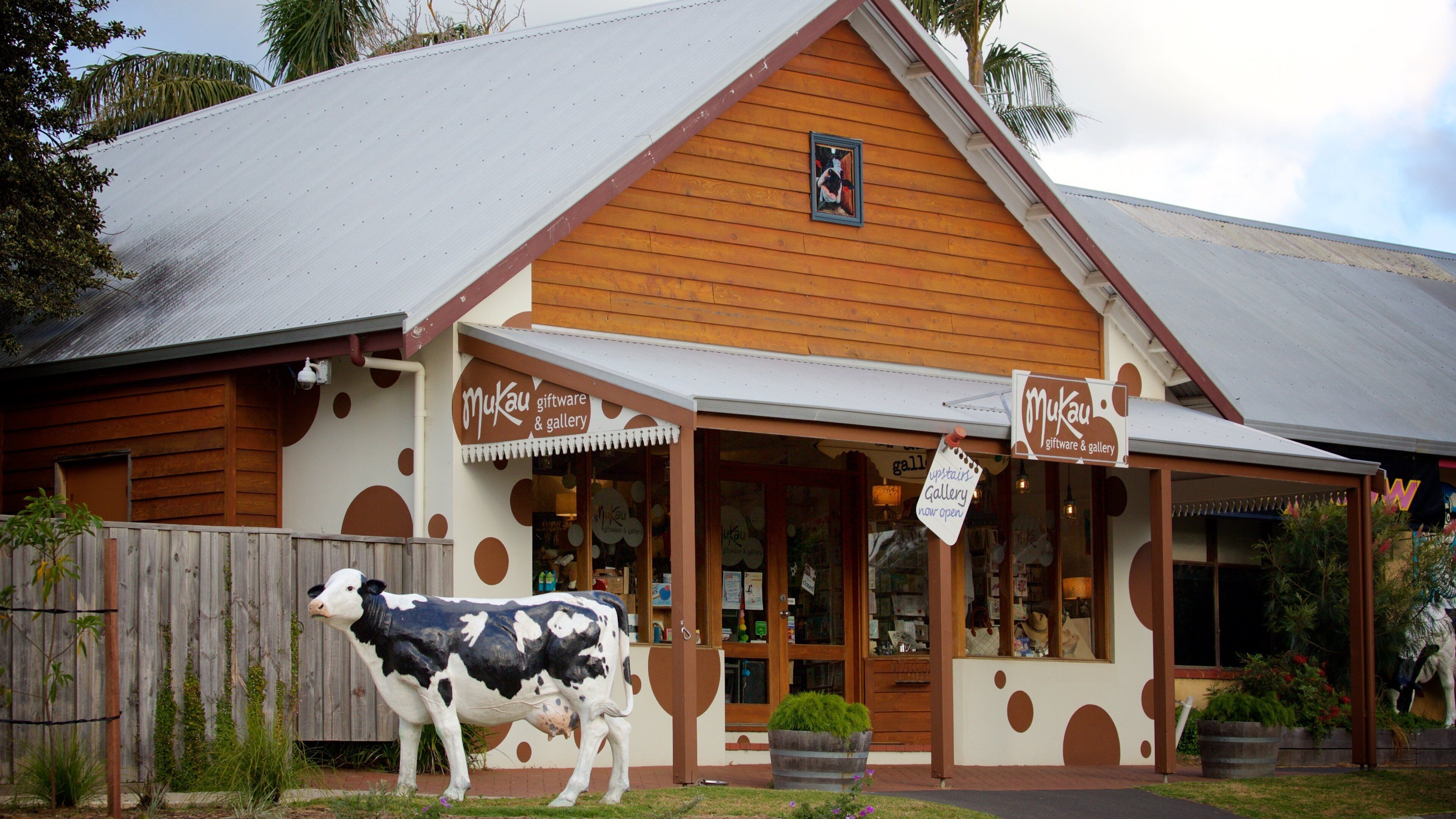 A building with a cow statue in front, wooden siding, and a sign that reads "Mukau giftware & gallery".
