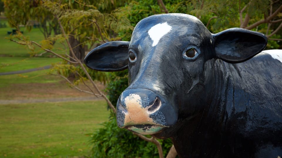A black and white cow with a white patch on its face, standing in a grassy field with trees in the background.