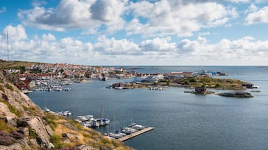Kungshamn showing a coastal town, landscape views and general coastal views