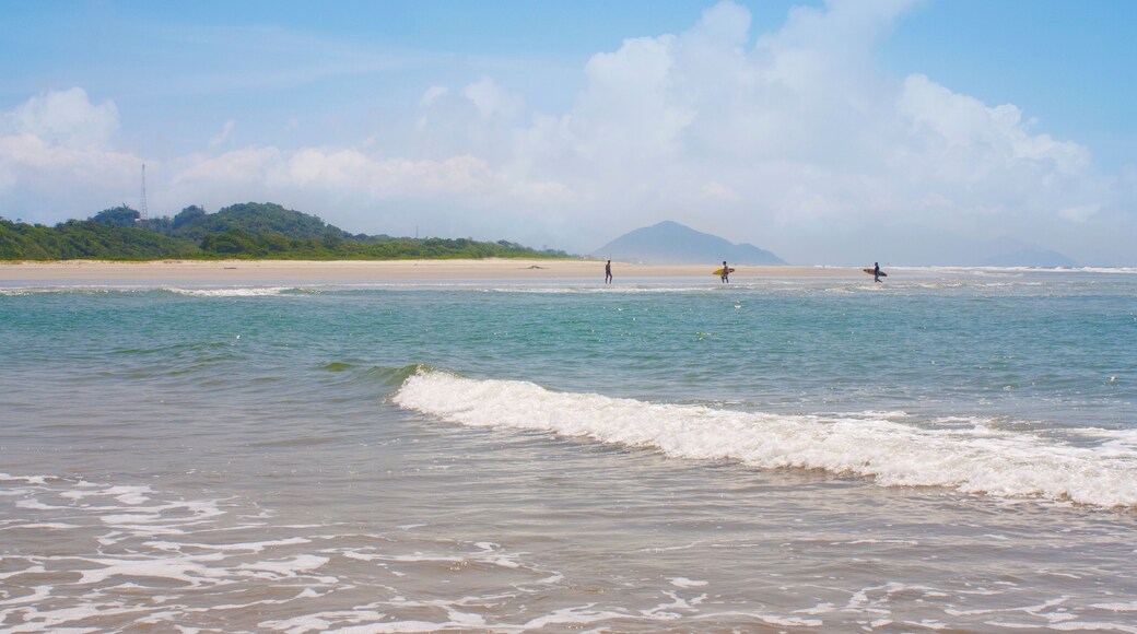 Beautiful preserved brazilian beach. Itaguare Beach, Bertioga.
