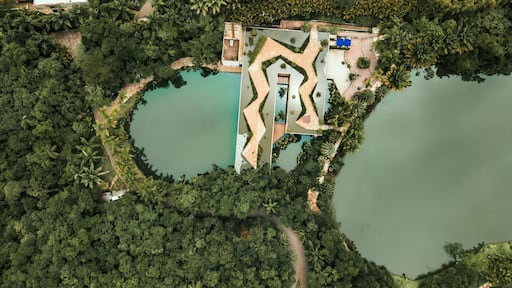 Instituto Inhotim Arte Brasileira Contemporânea Engenharia Paisagismo Jardinagem Sítio Natureza Lago Paisagem Brumadinho Belo Horizonte Minas Gerais Turismo Turístico Viagem Viajar Palmeiras Árvores