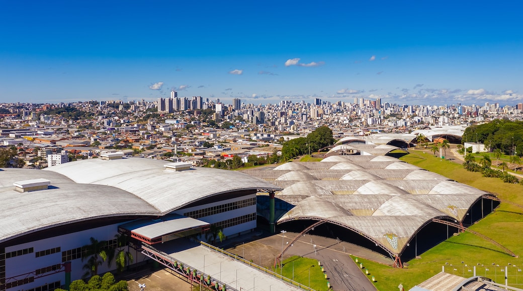 Khu thương mại lịch sử Grapevine