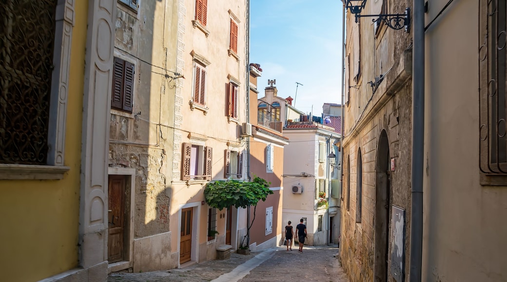 Khu thương mại lịch sử Grapevine