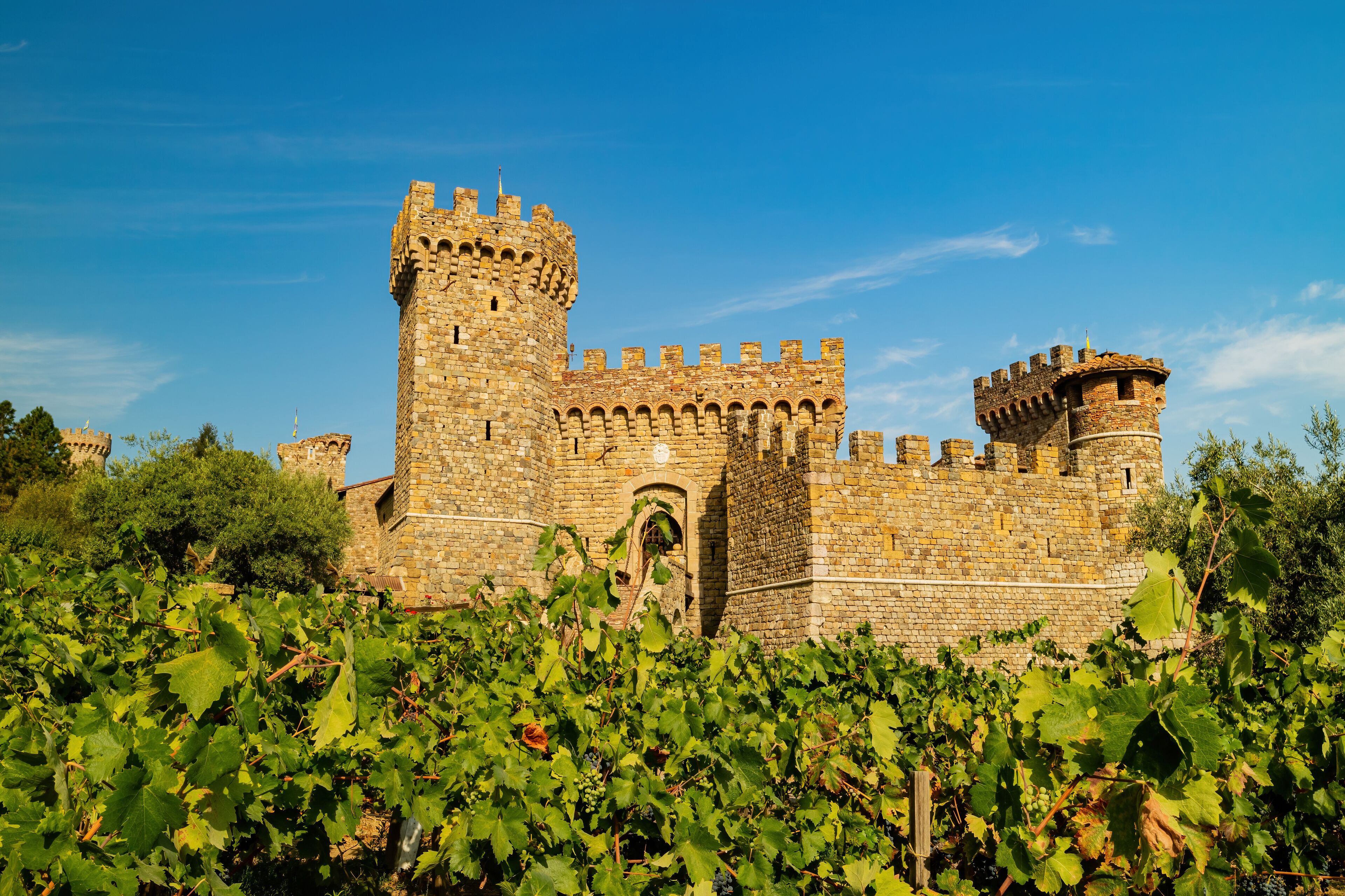 Khu thương mại lịch sử Grapevine