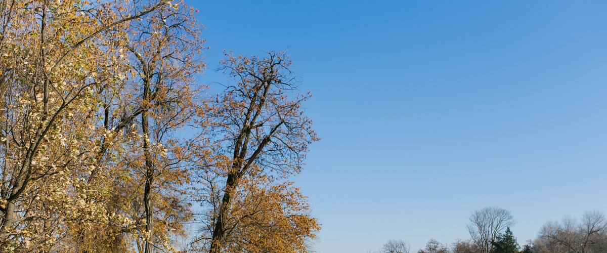 Tashkent, Uzbekistan. December 2019. Reservoir (Komsomol lake) in the national Park of Uzbekistan in winter and a bridge over the lake