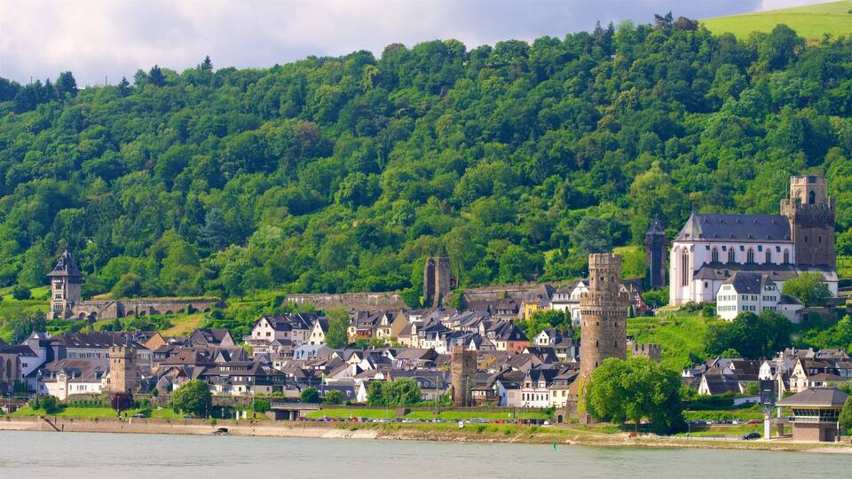 A historic town with medieval architecture, including a castle and a church, nestled by a river.