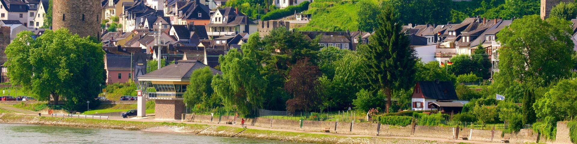 A historic town with a prominent tower, lush green hills, and a river.