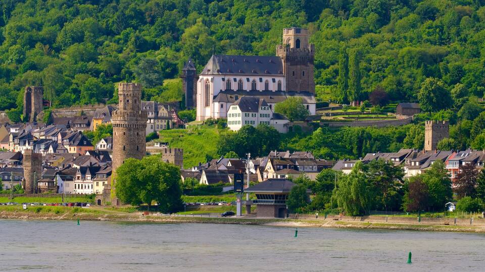 A historic town with a castle, towers, and a river.