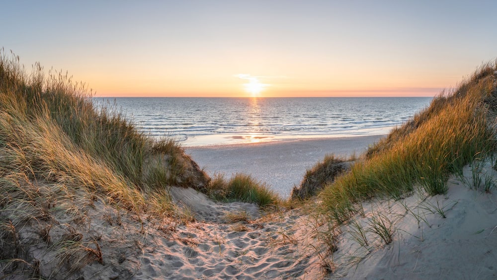 Ein Sonnenuntergang über einem Strand mit Dünen und Gras.