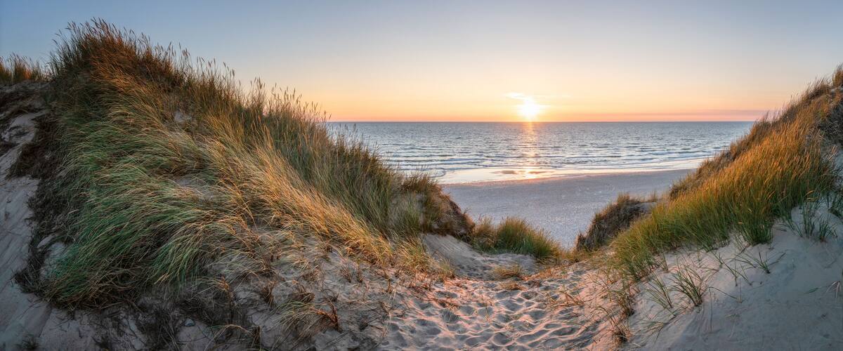 A sunset over a beach with sand dunes and grass.