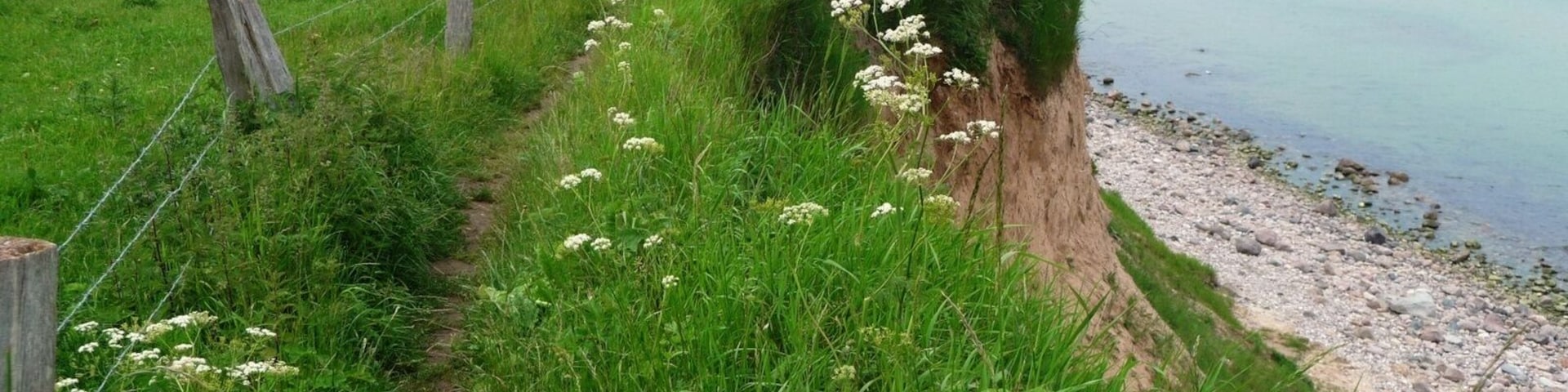 Wanderweg 2010