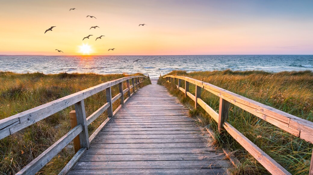 Beautiful dunes beach at sunset, North Sea, Germany