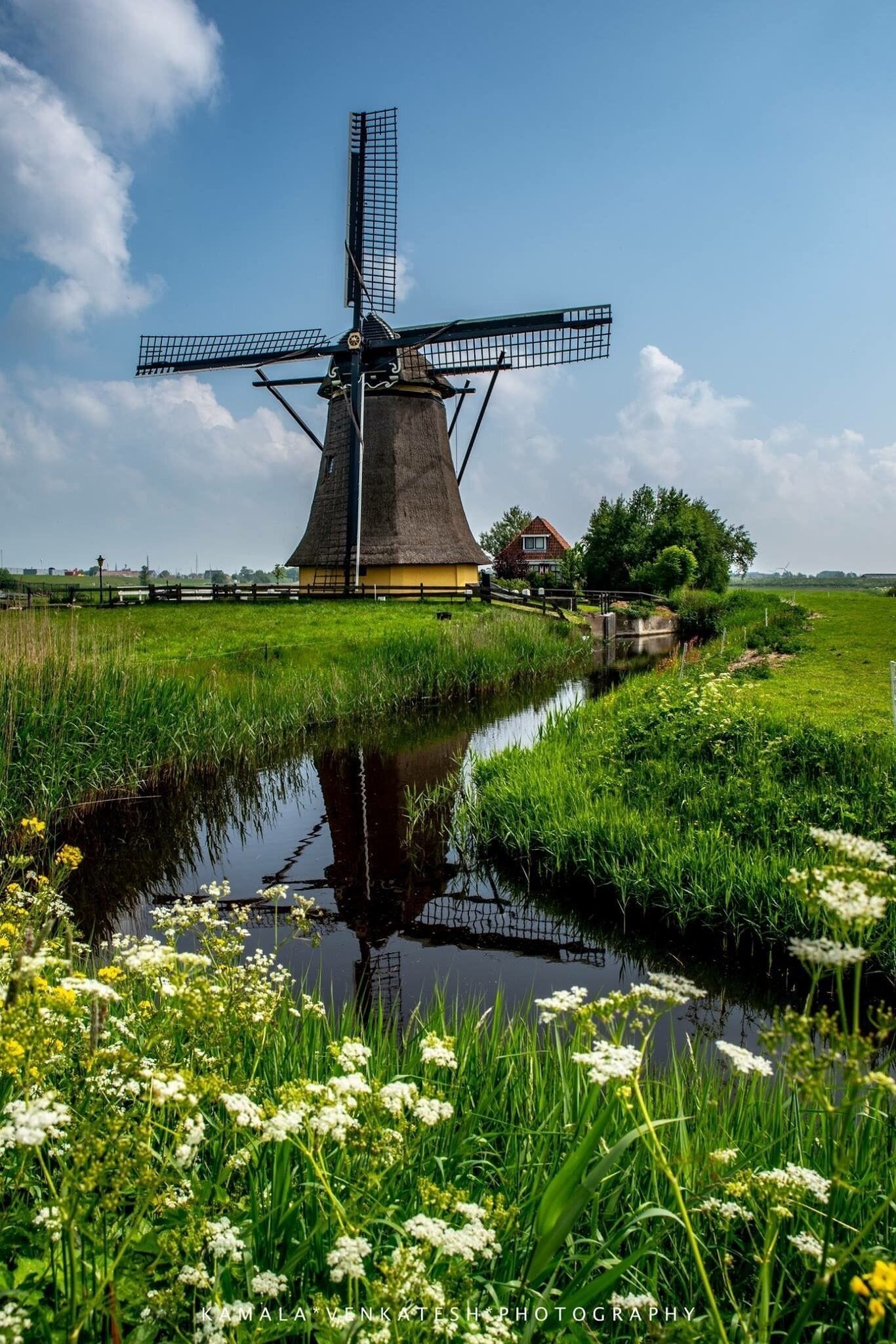 A traditional windmill in a rural landscape with a canal and blooming flowers.