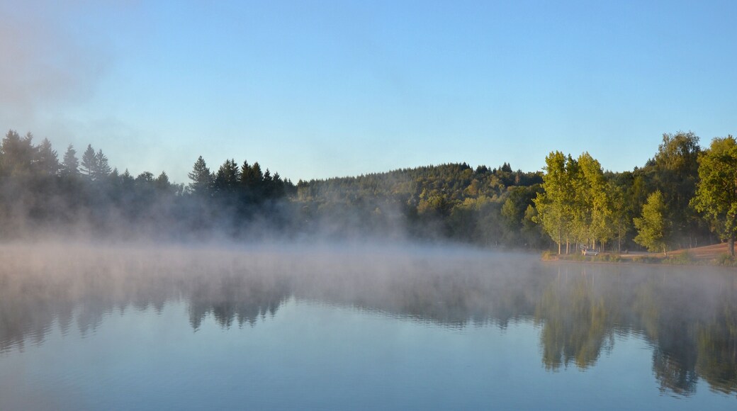 Rising fog at the Lake. Lac de Ponty, Ussel, France.