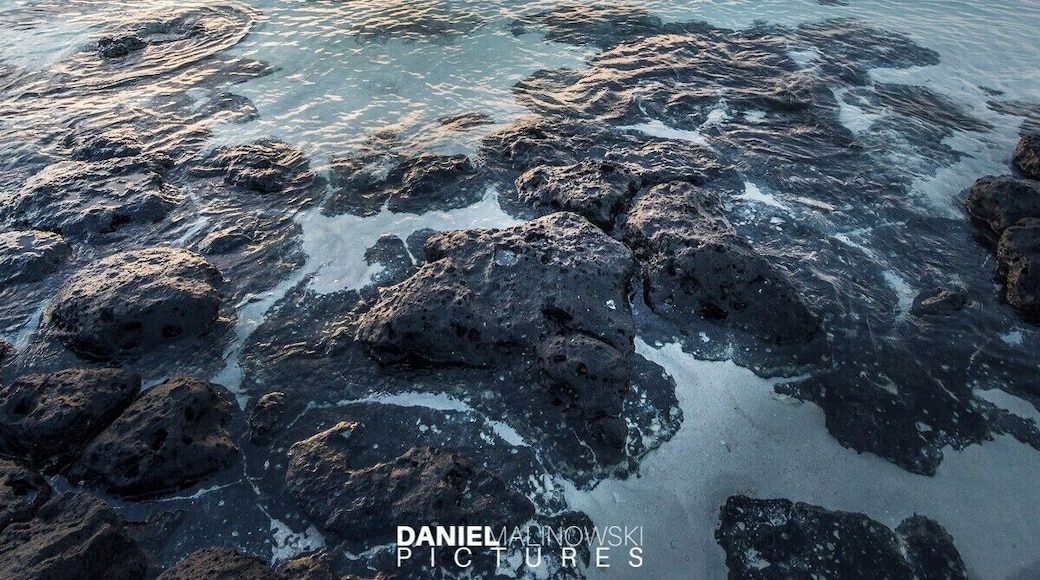 Sometimes it's worth getting up early in the morning.
#mauritius #sunrise #bvsquad #ocean