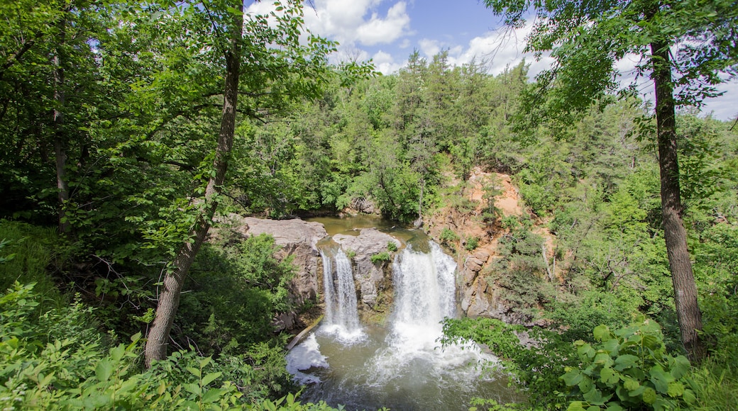 Redwood Falls