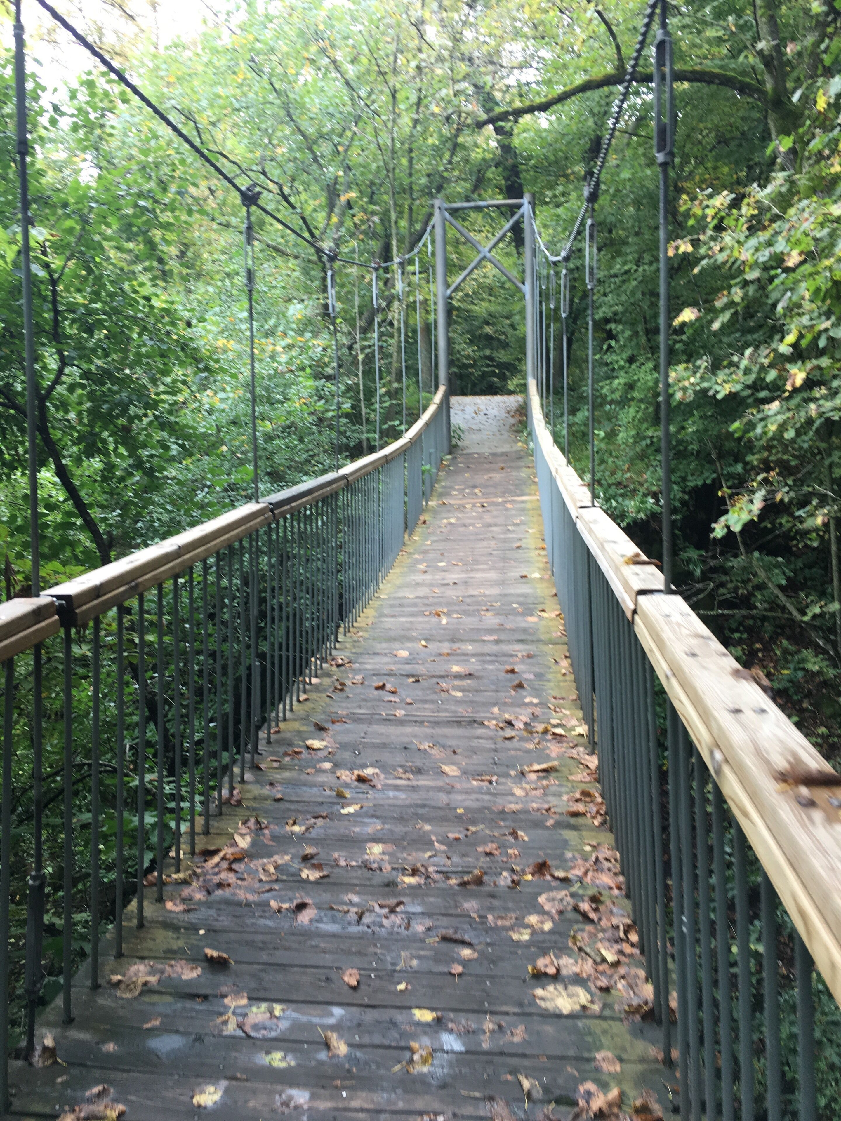 A great hidden park .