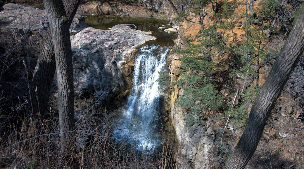 The Falls are the highlight but there is much more to see there. The picnic grounds are wonderful and the trees are fantastic. There is also a Dam there that is interesting to watch....all in all a very beautiful place to go for an afternoon. There is also a small zoo downriver a bit from the falls.