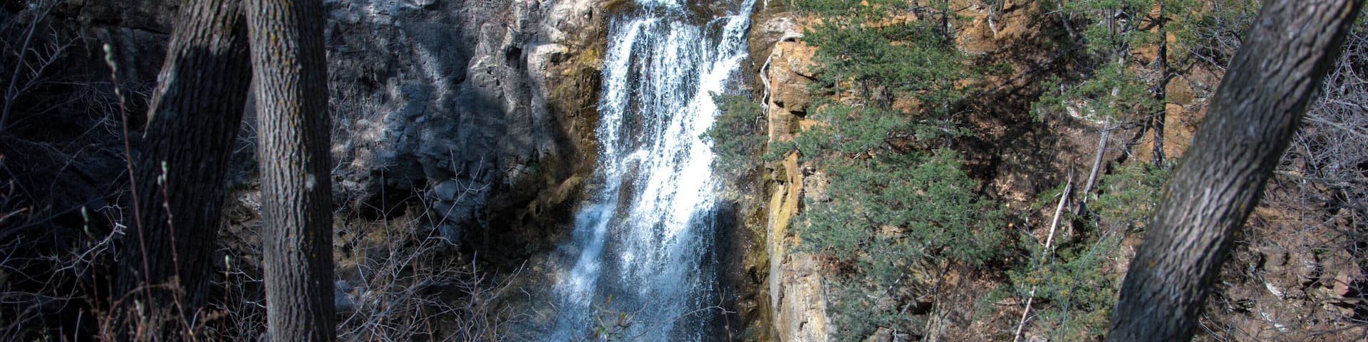 The Falls are the highlight but there is much more to see there. The picnic grounds are wonderful and the trees are fantastic. There is also a Dam there that is interesting to watch....all in all a very beautiful place to go for an afternoon. There is also a small zoo downriver a bit from the falls.