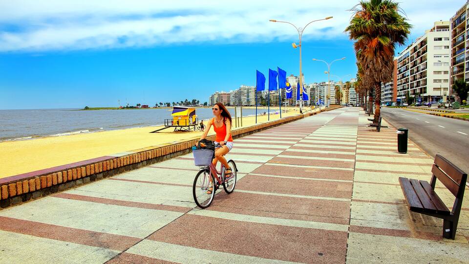 A coastal promenade with a cyclist, palm trees, and a beach in the background.