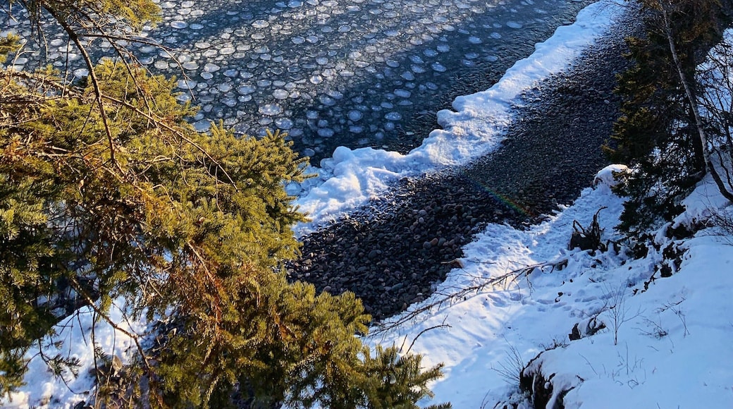 Main trail from visitor center
