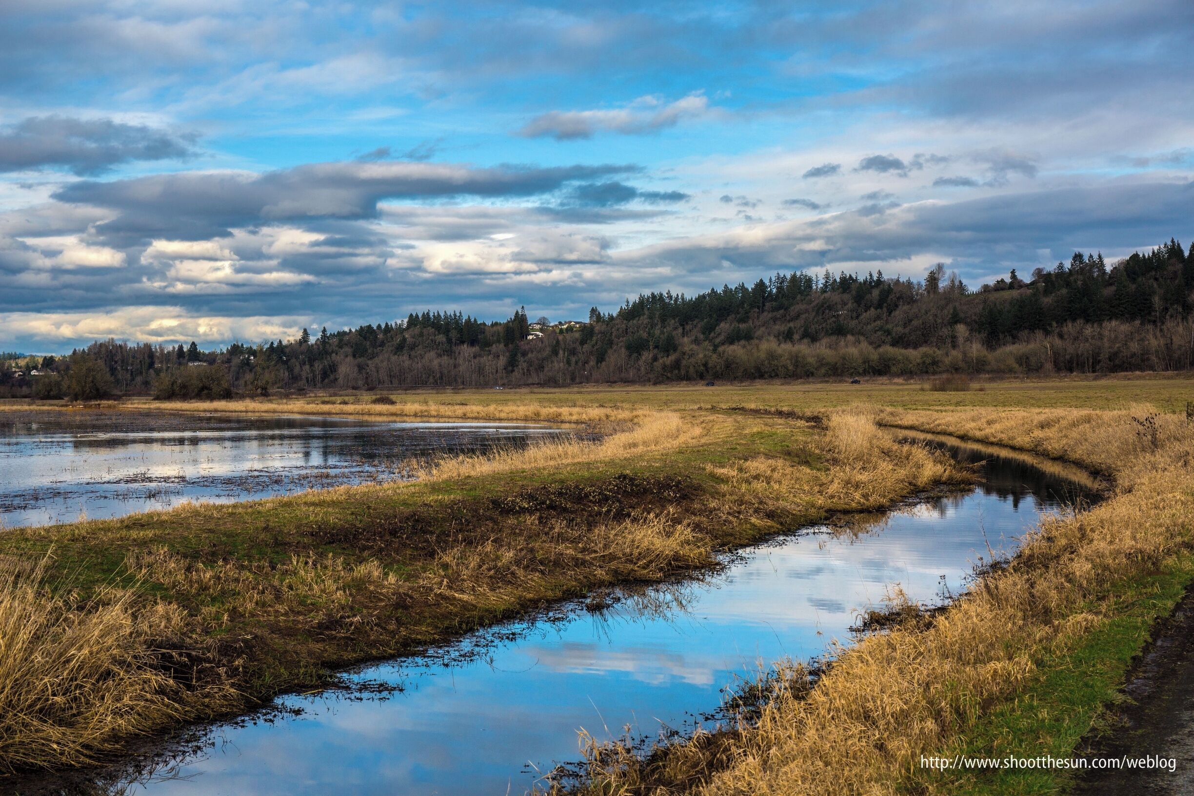 A wetland with a meandering water path, surrounded by grassy fields and a forested hill in the background.