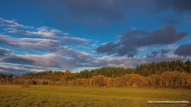 The curve at Rest Lake in the River "S" Unit at the Ridgefield Wildlife Refuge.