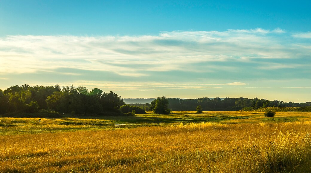 Ridgefield National Wildlife Refuge Summer Sunset Washington State