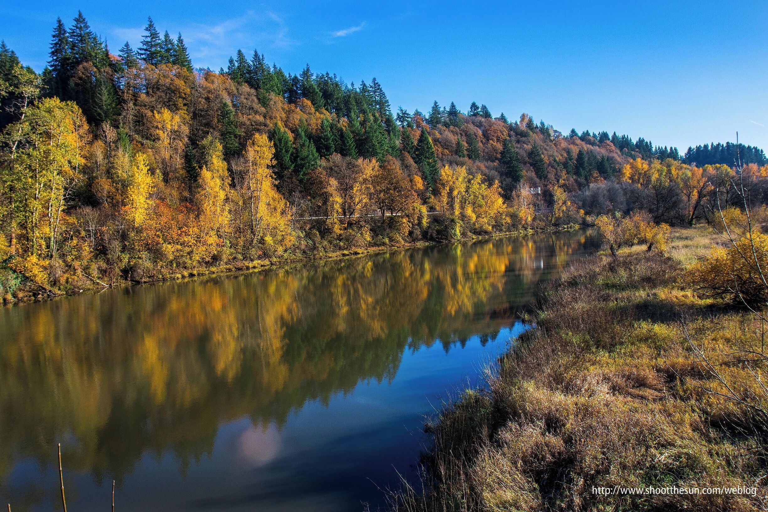 A calm lake surrounded by autumn-colored trees and a forested hillside.