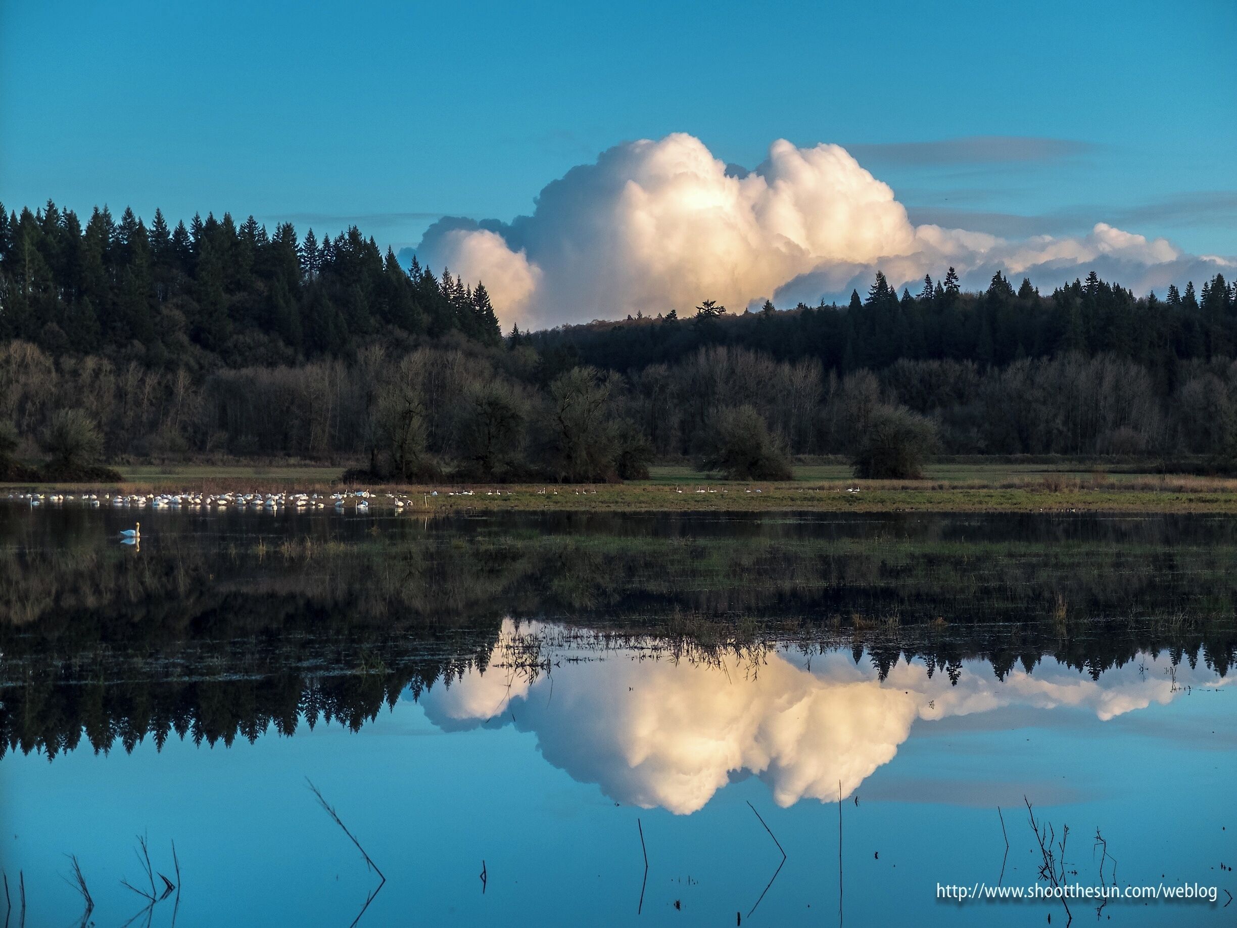 A calm lake with a reflection of a large cloud and a forested hill in the background.