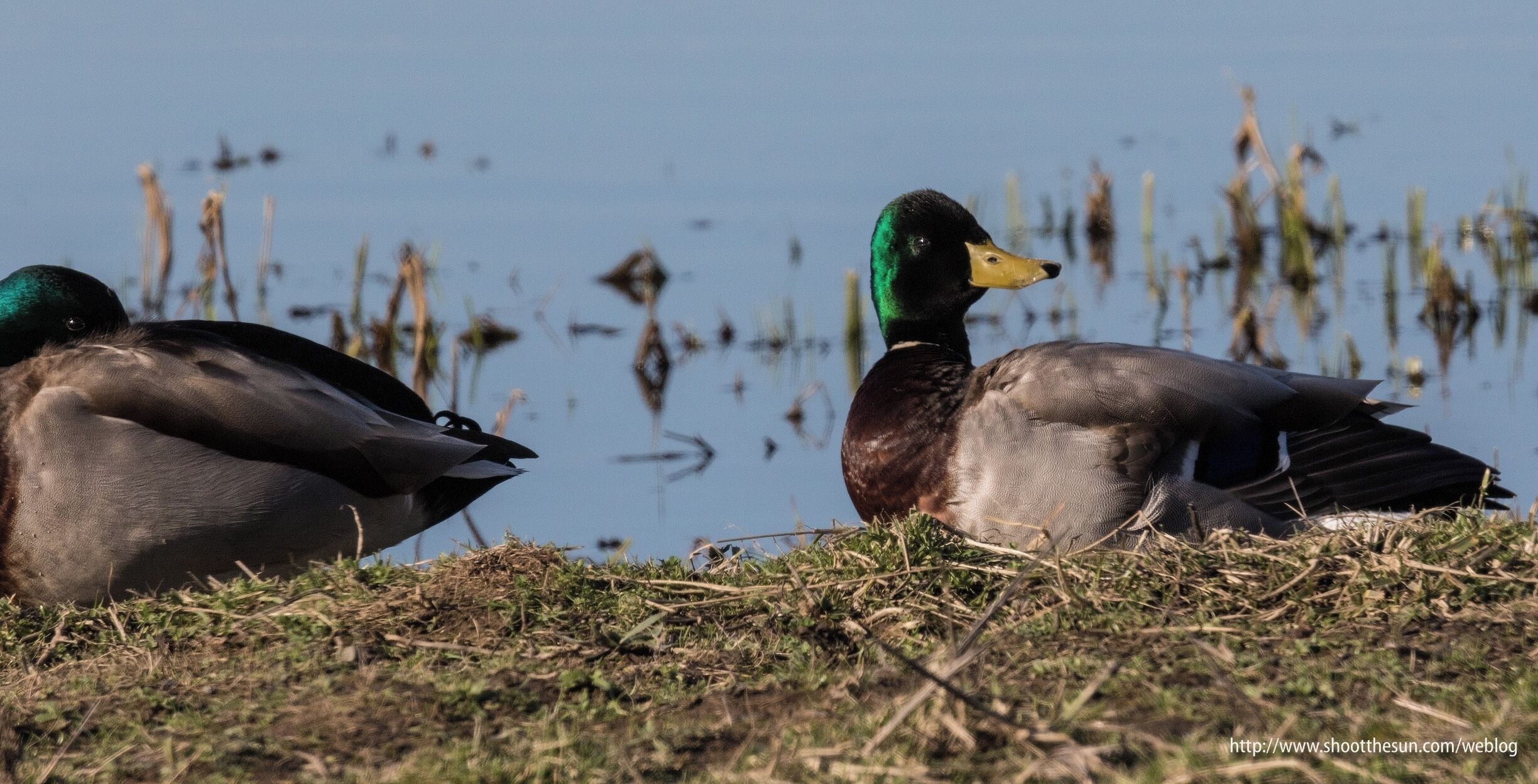 I'm thinkin' they knew...