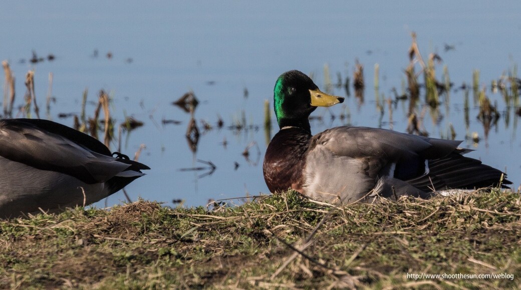 I'm thinkin' they knew...