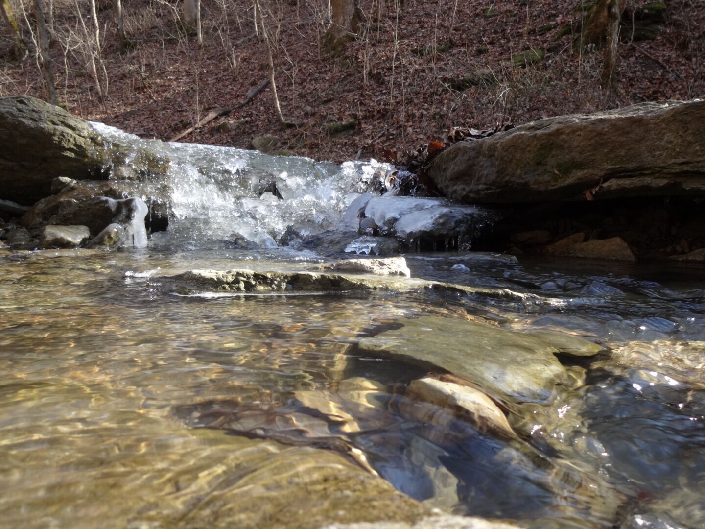 A shot of the partially frozen Halls Creek, a tributary of the Little Miami State and National Scenic River, passes through the preserve and forms a series of small, beautiful waterfalls as it passes over the Ordovician limestone bedrock. 