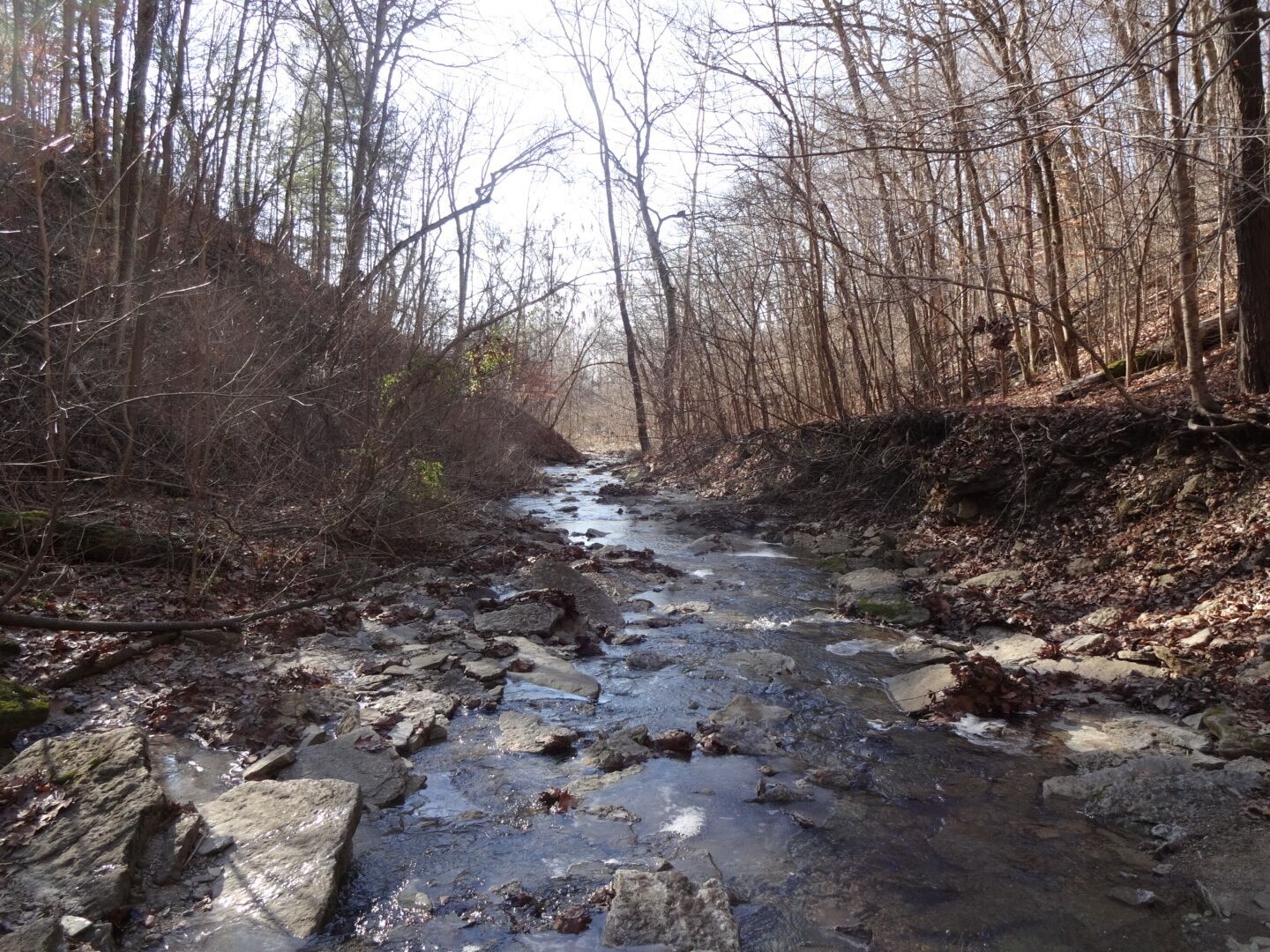 A view downstream of Halls Creek, a tributary of the Little Miami State and National Scenic River, passes through the preserve and forms a series of small, beautiful waterfalls as it passes over the Ordovician limestone bedrock. 