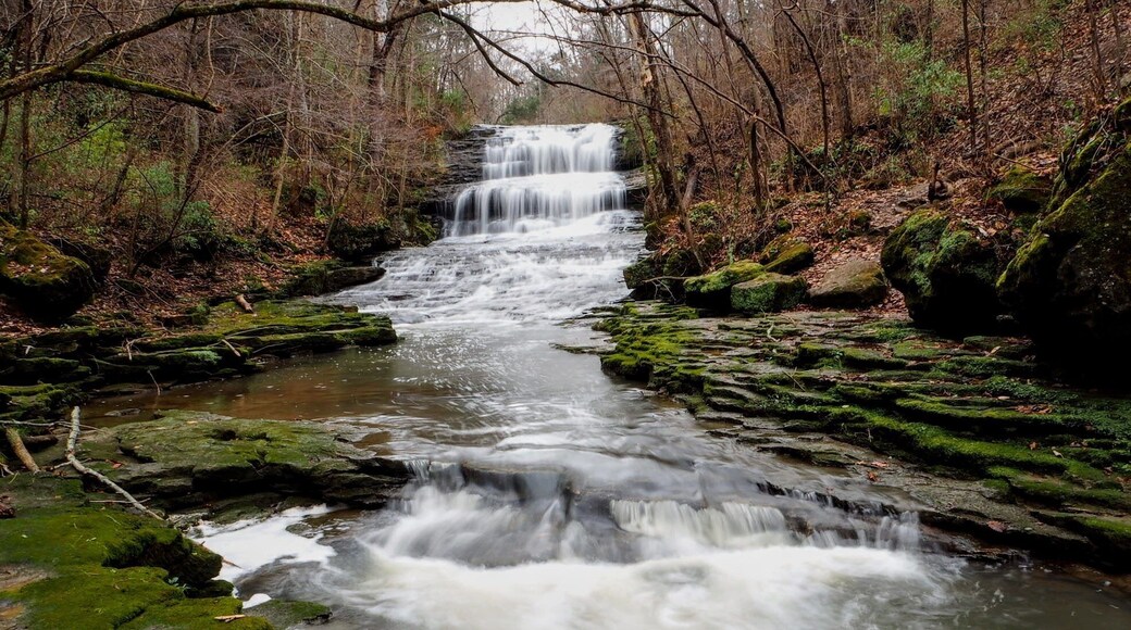 The falls at Fallsville are sort of isolated from the other groupings of waterfalls in Ohio. So, if you're going to journey there, make an afternoon of it by visiting near by Hillsboro. Stop and have a burger at Cowaburger. Swing by the world's largest horseshoe crab sculpture.