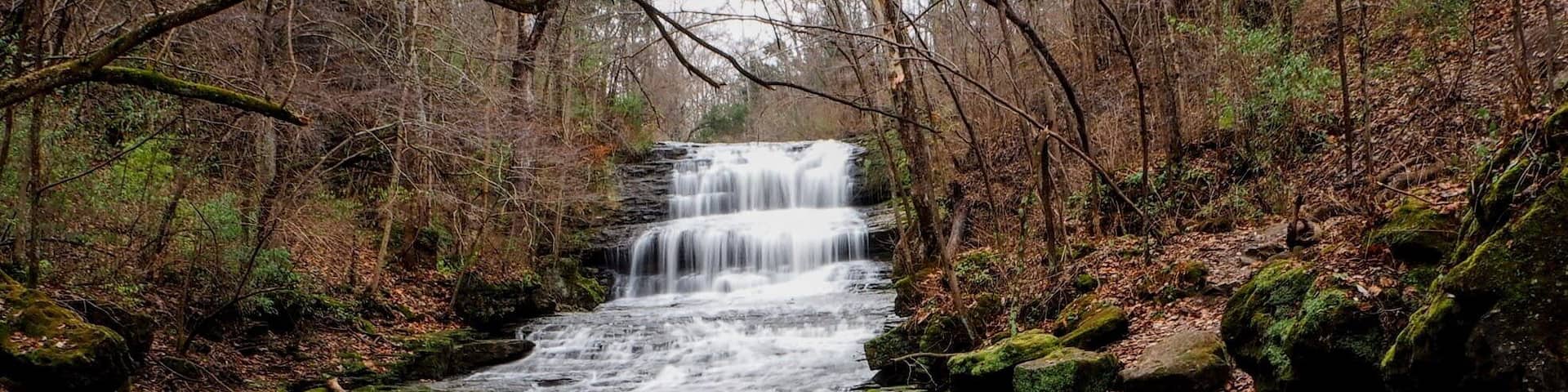 The falls at Fallsville are sort of isolated from the other groupings of waterfalls in Ohio. So, if you're going to journey there, make an afternoon of it by visiting near by Hillsboro. Stop and have a burger at Cowaburger. Swing by the world's largest horseshoe crab sculpture.
