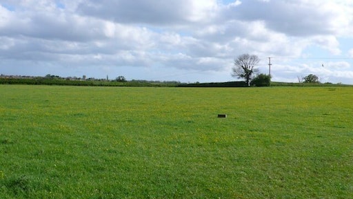 Countryside near Horsington These fields are just of the A357 between Abbas Combe and Horsington.