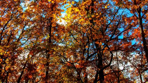 Shale Hollow Park in Autumn, Lewis Center, Ohio