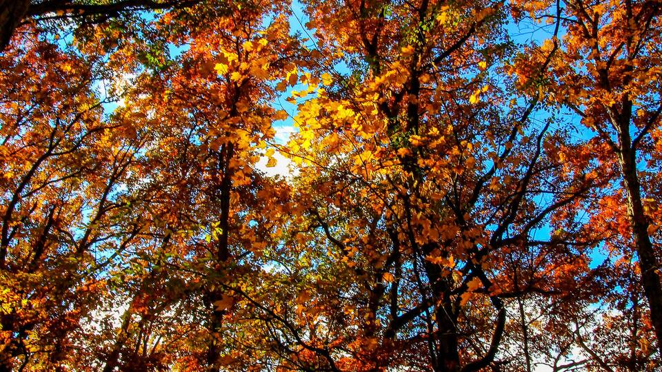 Shale Hollow Park in Autumn, Lewis Center, Ohio